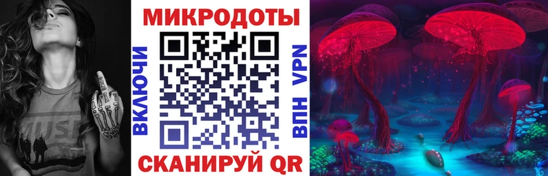 наркотики  Циолковский  Псилоцибиновые грибы Psilocybine cubensis 